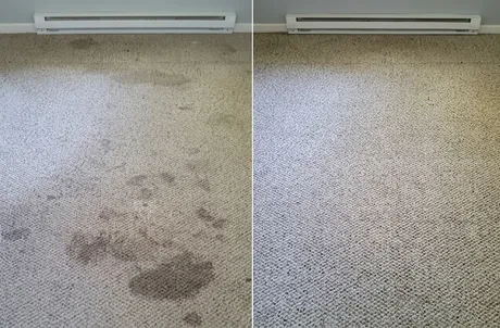 Nettoyage de tapis