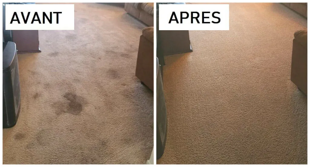 Nettoyage de tapis en cours